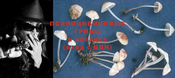 первитин Арсеньев