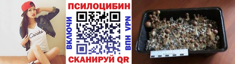 Псилоцибиновые грибы мухоморы  Купить где  Новоалтайск 